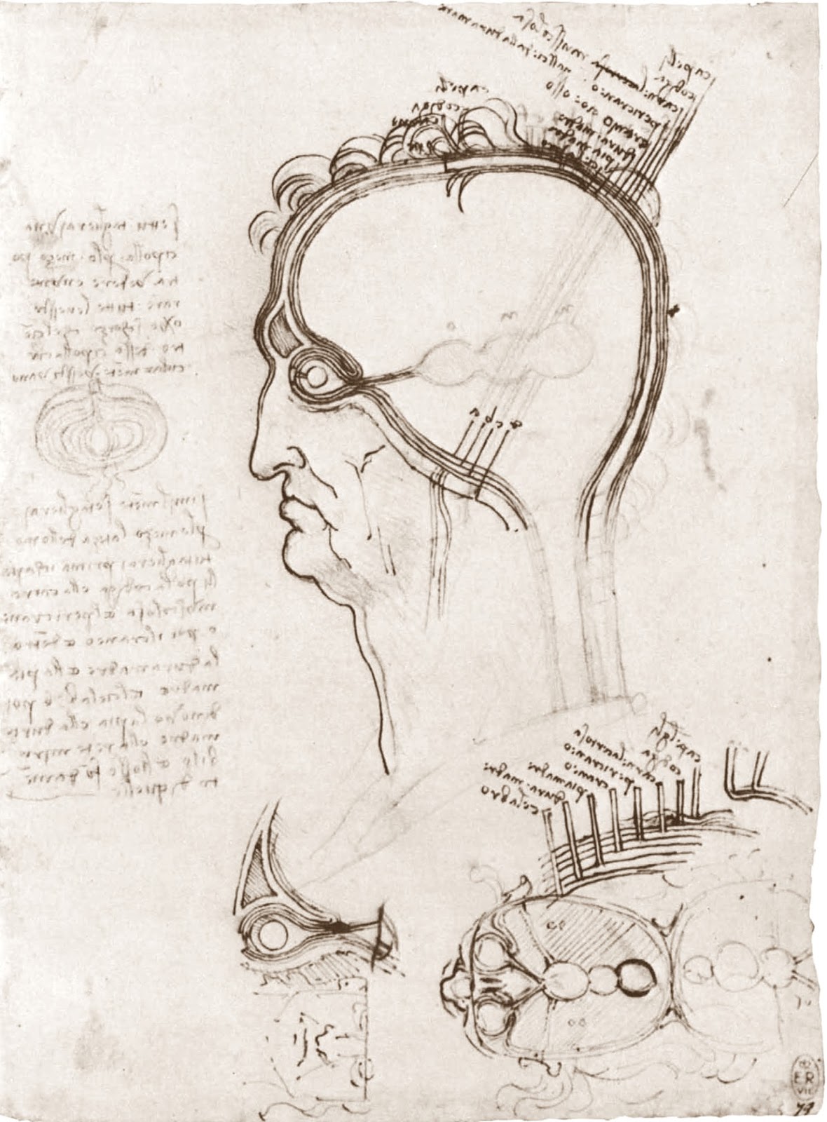 Leonardo+da+Vinci-1452-1519 (761).jpg